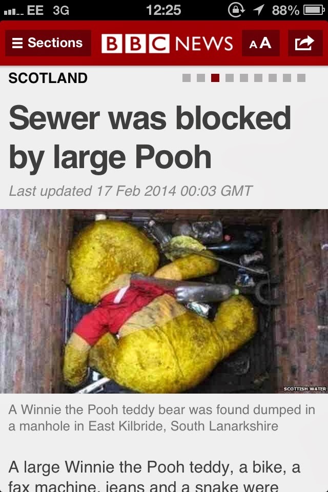 sewer+was+blocked+by+large+Pooh+dr+heckle+funny+wtf+headlines.jpg