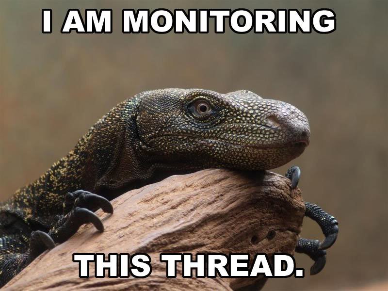 78416-i-am-monitoring-this-thread.jpg