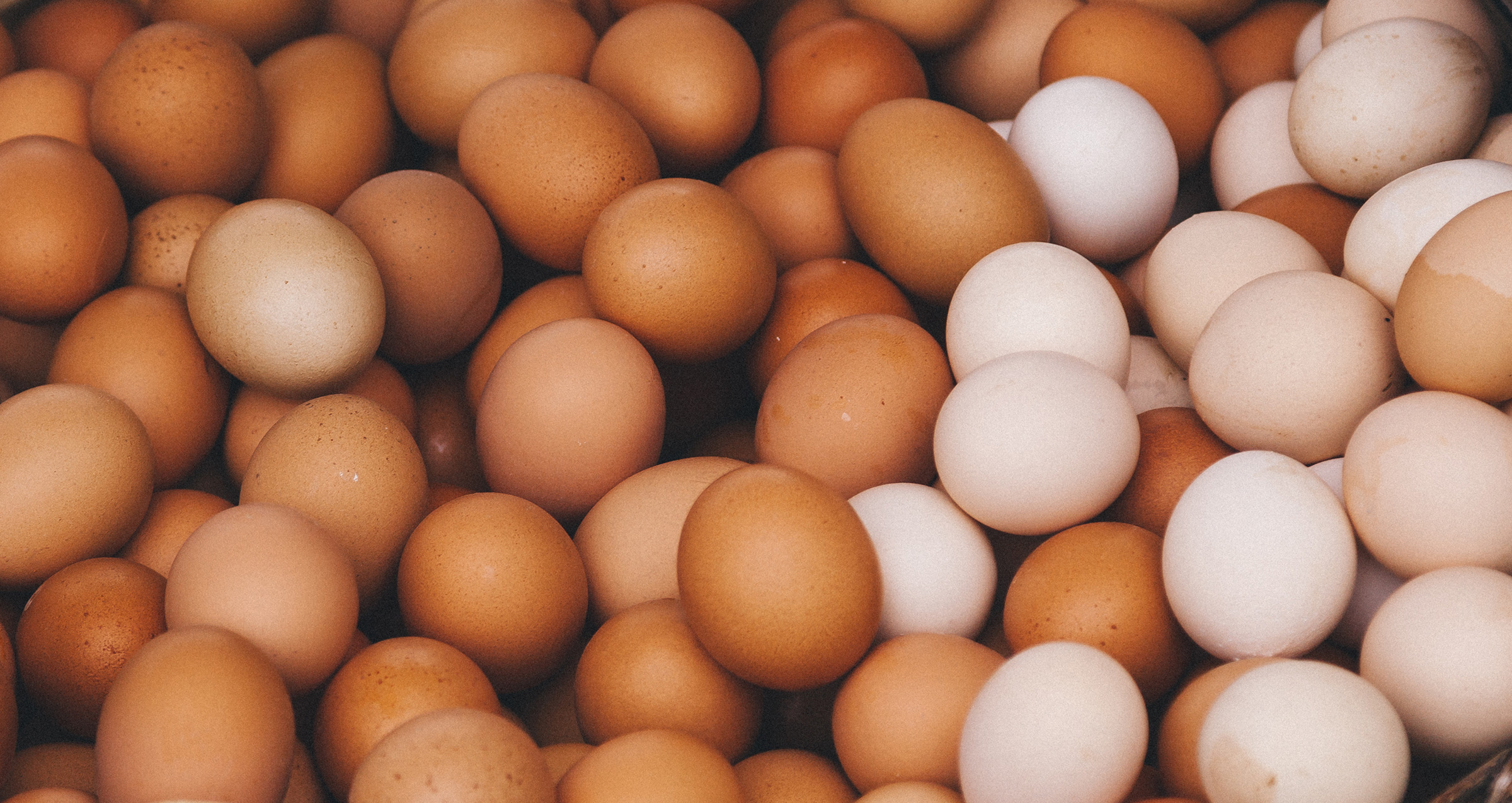 Egg-prices-header-image.jpg