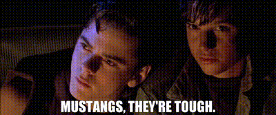db898b42-e95b-4935-8b87-ffe27bf499ea_text.gif
