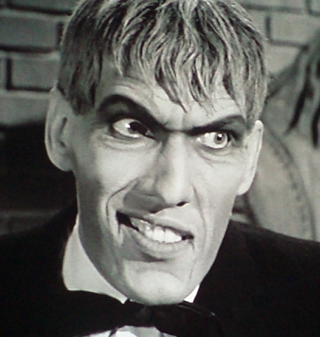 Lurch-addams-family-6160640-456-480.jpg