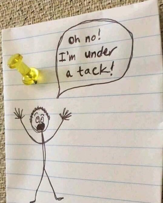 the-best-funny-pictures-of-under-a-tack.jpg