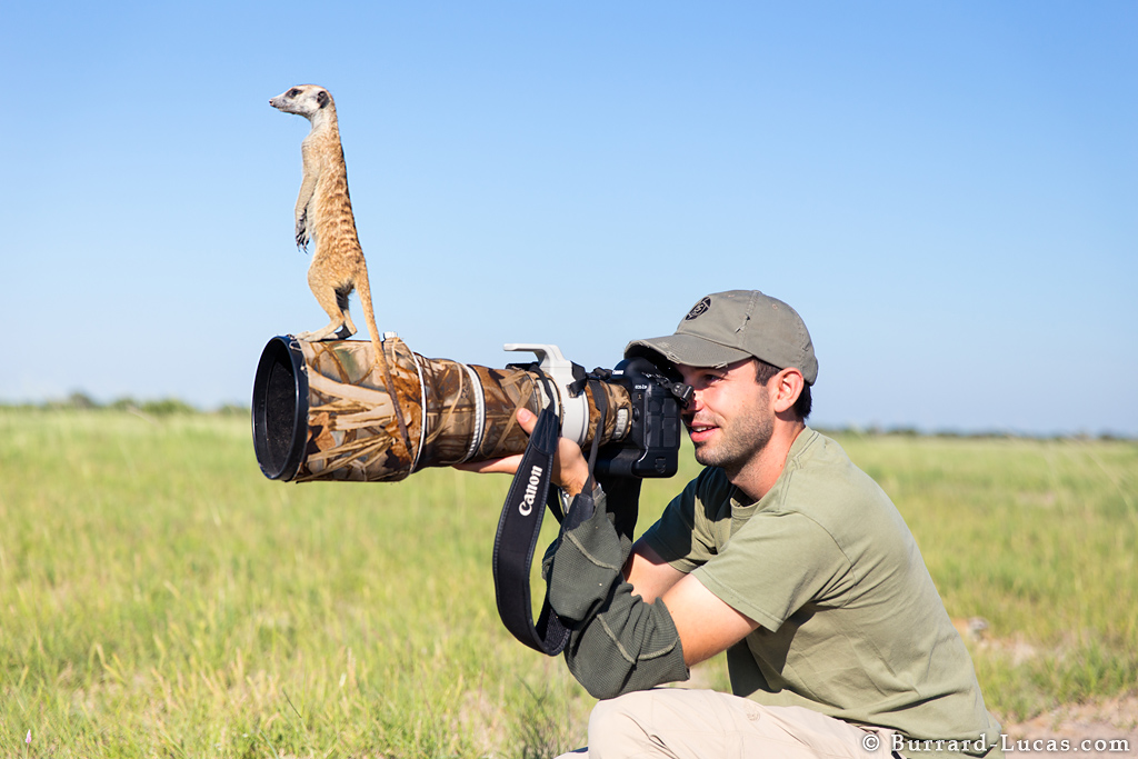 meerkat_camera.jpg