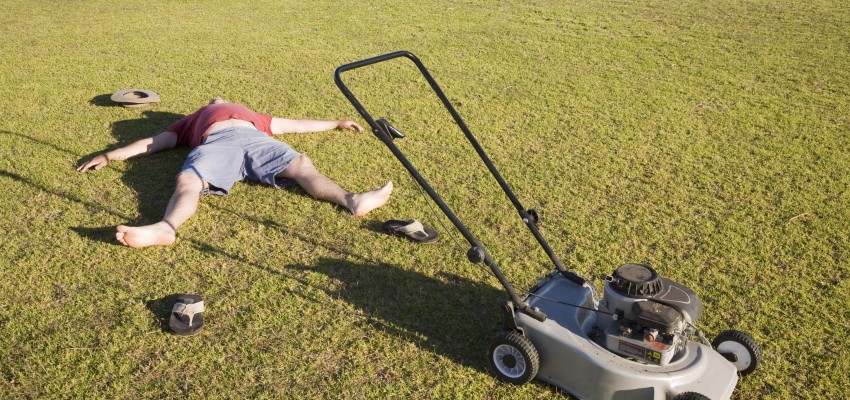 lawn-alternatives-850x400.jpg