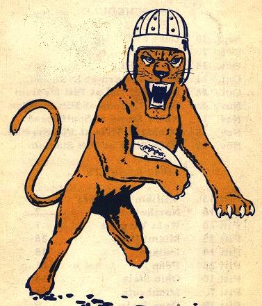 old-school-pitt-panther.jpg