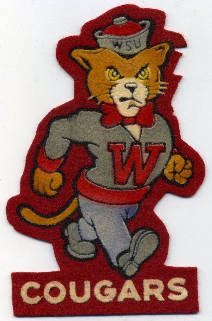 6282f17eca3146732f51f1768556267a--wsu-football-patch-design.jpg