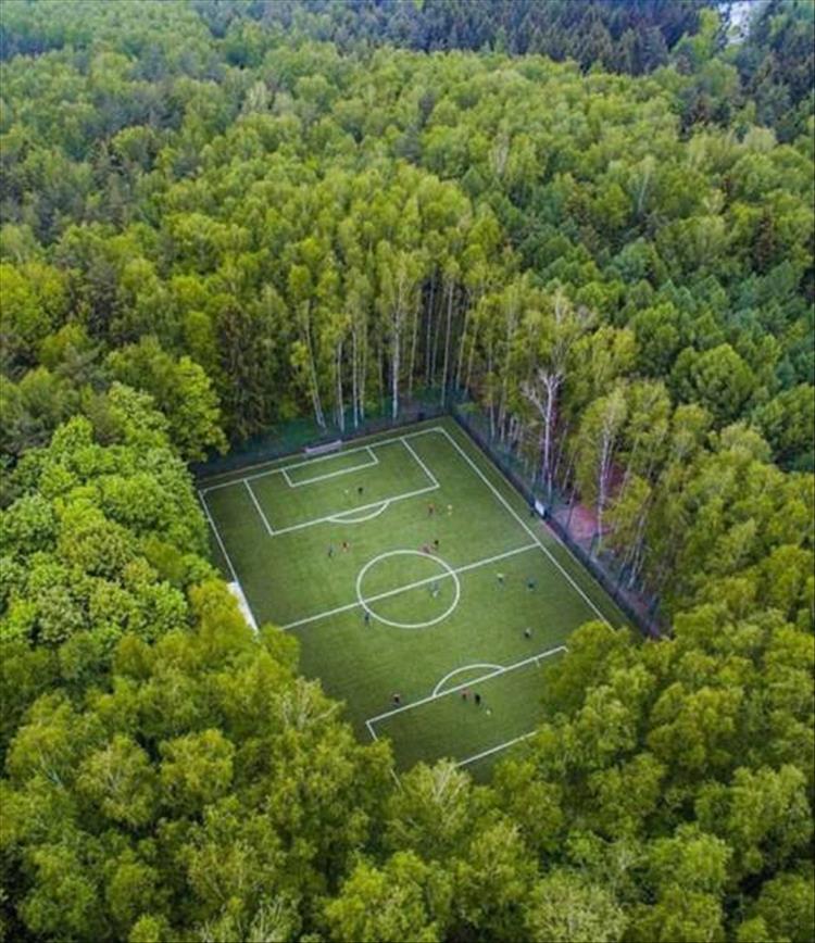 soccer-field.jpg