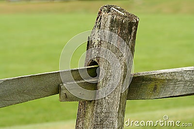 wooden-fence-post-11166054.jpg