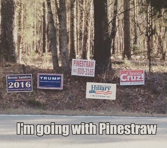 pinestraw.jpg