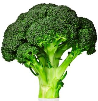 broccoli.jpg