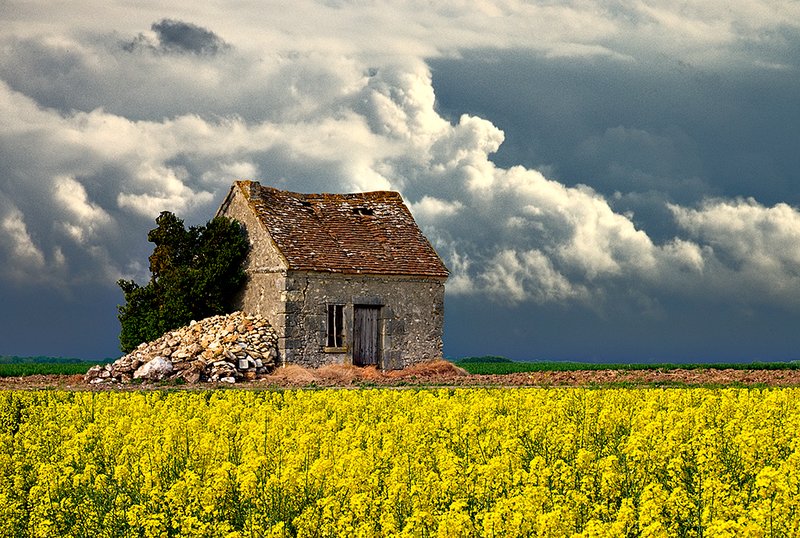 large_Fr-country..Amboise.jpg