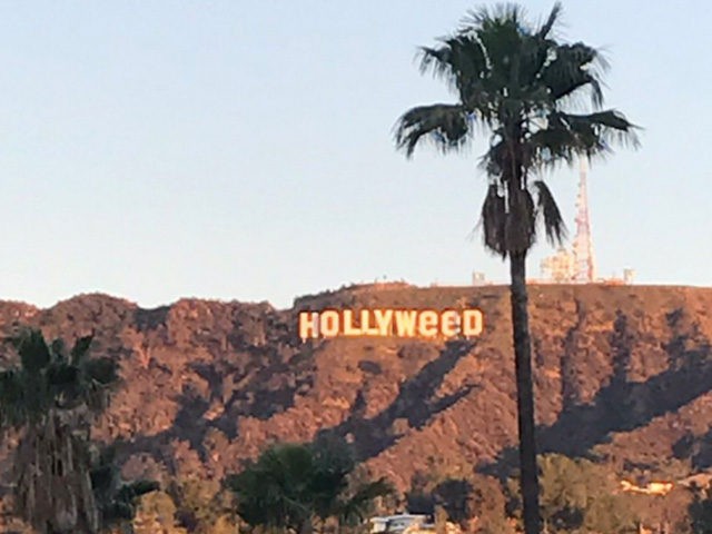 Hollyweed2017-640x480.jpg