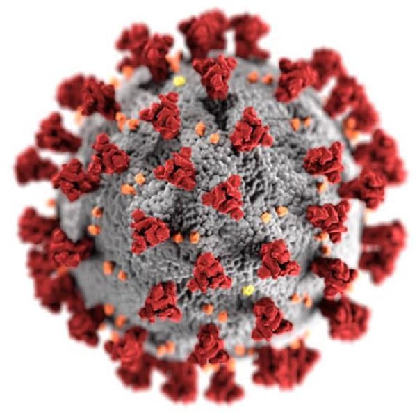 covid-19-virus.jpg