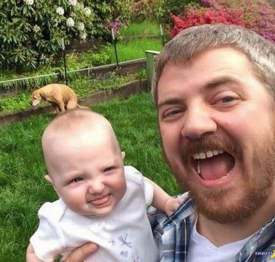 man-baby-dog-pooping-background-funny-family.jpg