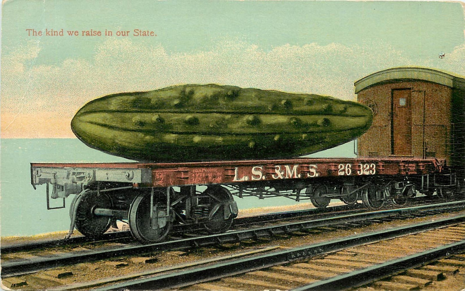 Pickle_Train.jpg