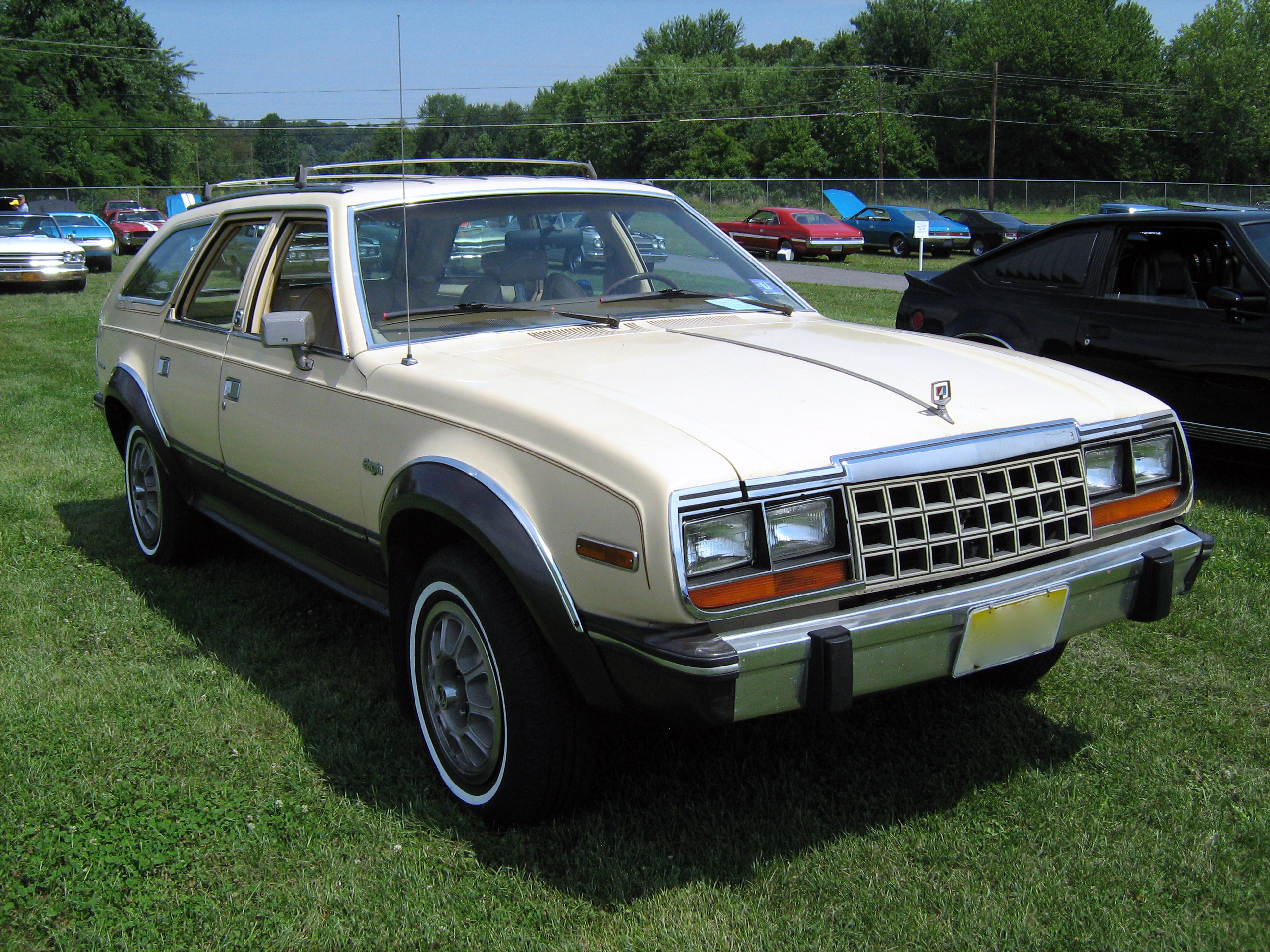 1983_AMC_Eagle_wagon_fr-Cecil'10.jpg