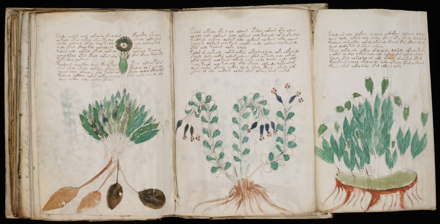 Voynich_Manuscript_(170).jpg