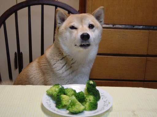 Broccolioriginal.jpg