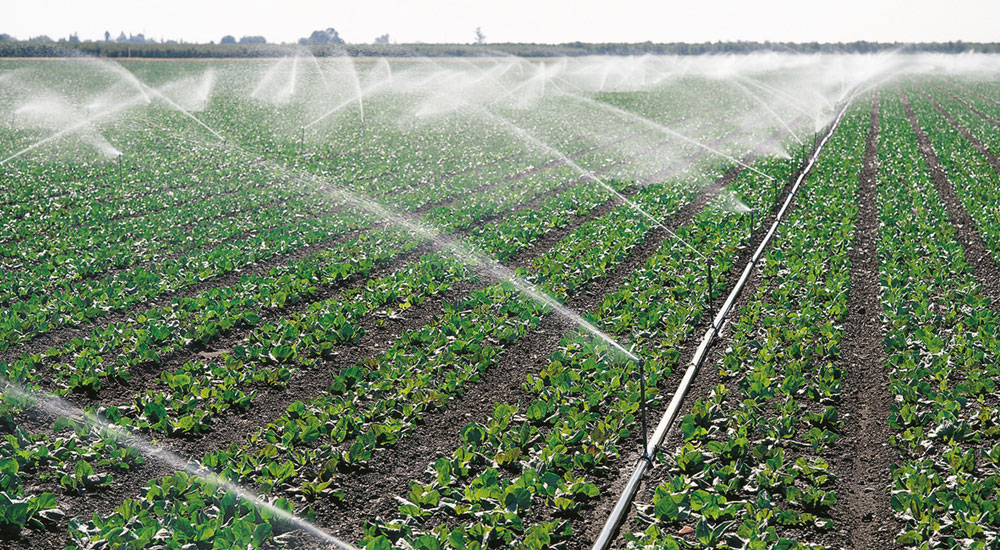 billboard-services-irrigation-5.jpg