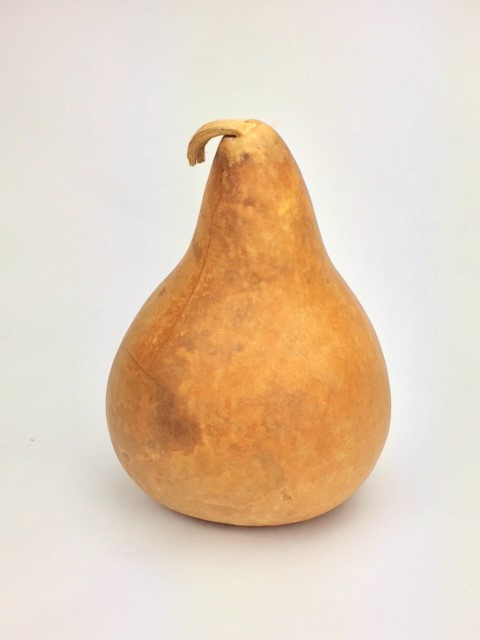 9-Inch-Kettle-Gourd.jpg