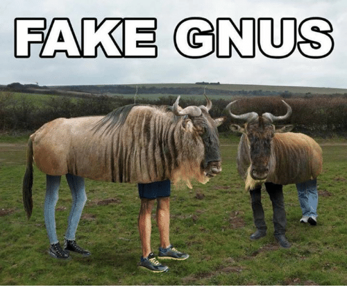 fake-gnus.png
